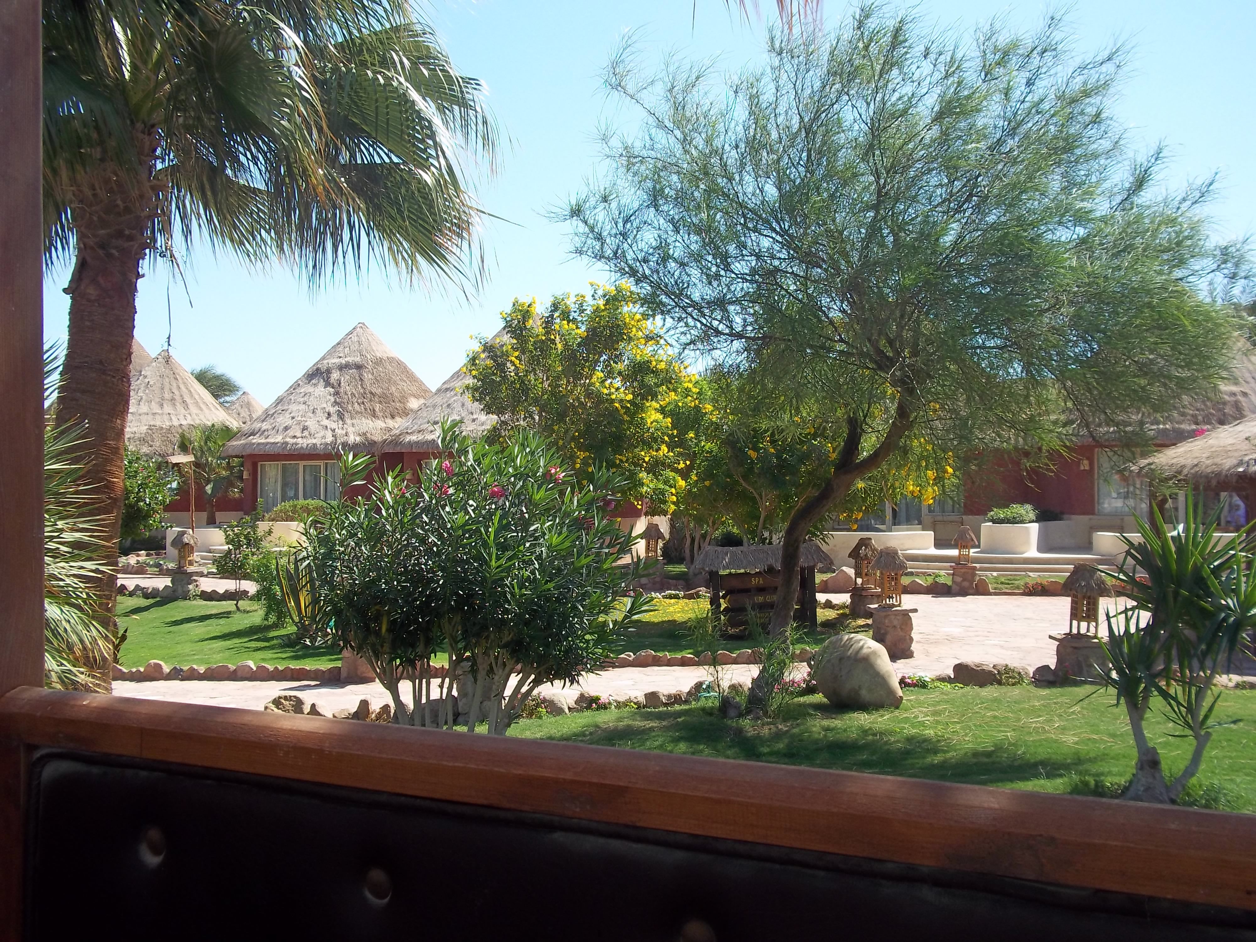 The image shows a view of a resort with huts, trees, plants, flowers, grass, rocks, and a bench in...