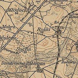 The image shows an old topographic map of the city of Bucharest, Romania. It is a top view of the...