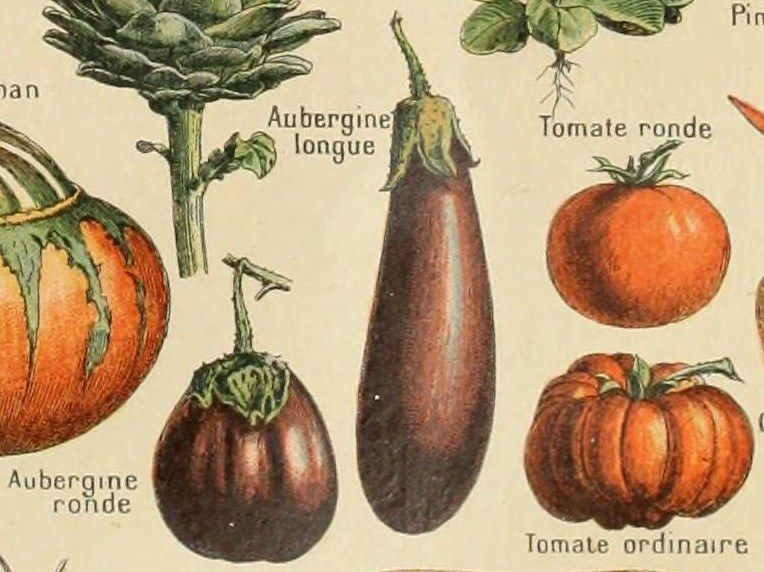 The image shows a poster with a variety of vegetables, including brinjals, artichokes, and...
