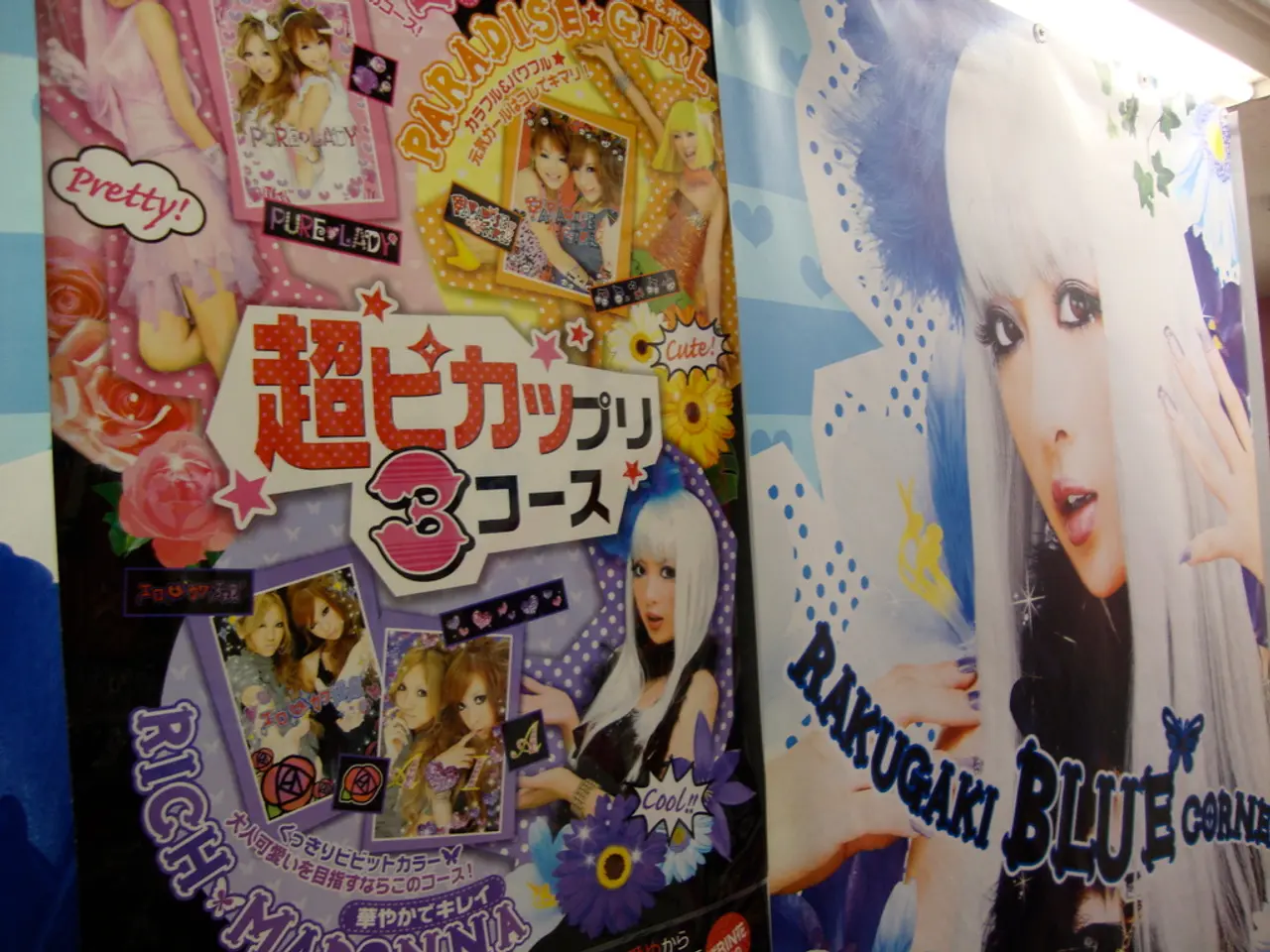 This image consists of a poster with a few images of women and there is a text on it.