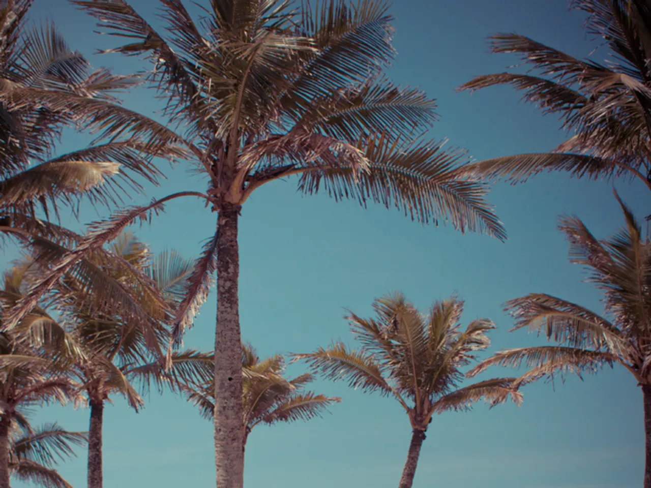 In this image, we can see a beach contains some persons and trees. There are trash bins in the...