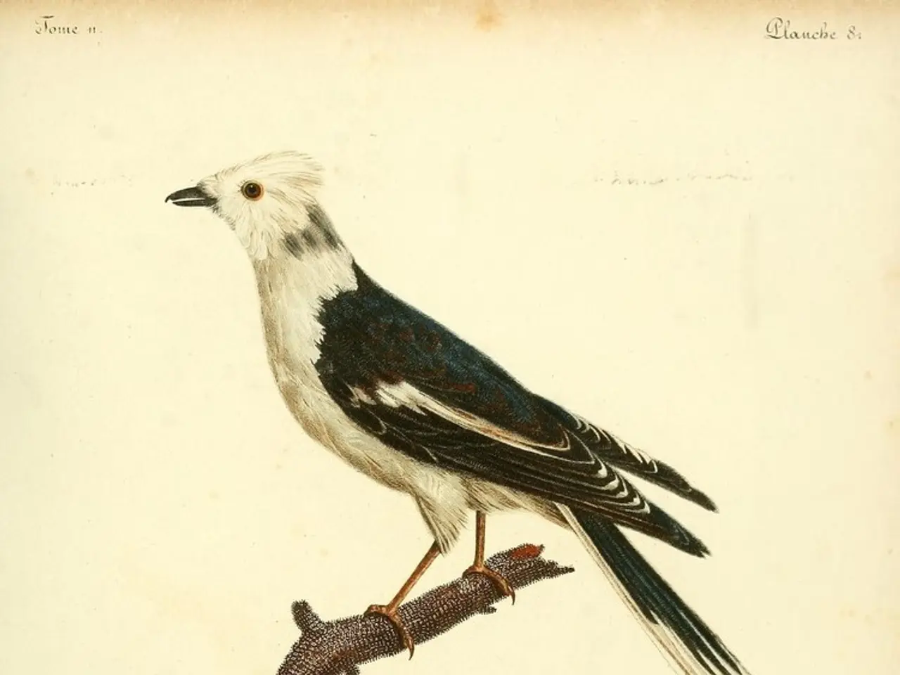 There is an image of a bird sitting on the branch of a tree on a paper and there is some quote...