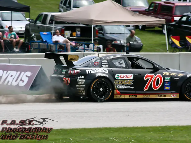 Here I can see a black color racing car on the road. At the bottom of the image I can see the grass...