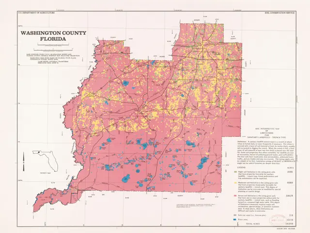 The image shows a poster of a map of Washington County, Florida. The map is filled with various...