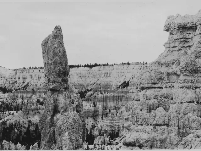 The image shows a black and white photo of Bryce Canyon National Park in Utah, with trees, rocks,...