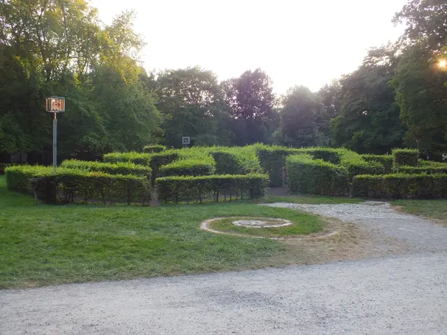 The image shows a park with a circular maze in the middle of it, surrounded by lush green grass,...