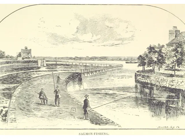 The image shows a drawing of people fishing on a river with a bridge in the background, surrounded...