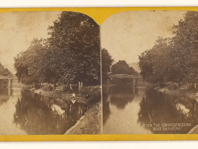 The image shows a black and white photo of a river with a bridge in the background, surrounded by...