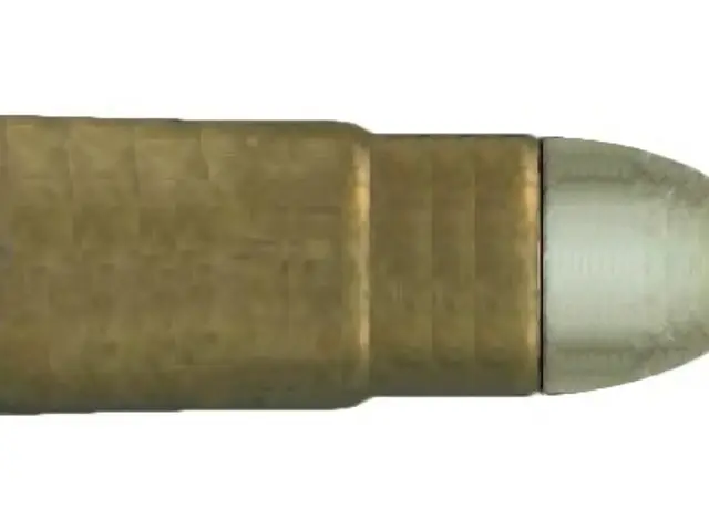 The image shows a brass bullet on a white background with a black border around it. The bullet is...