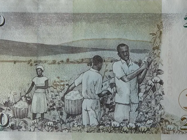 The image shows a Zimbabwe 200 Zimbabwean Shillings banknote with a picture of a man and a woman on...