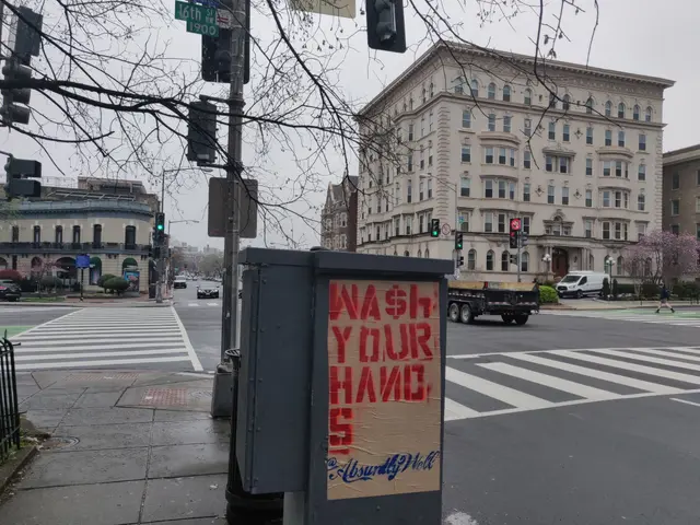 The image shows a bustling city street with vehicles driving on the road, a person walking on the...