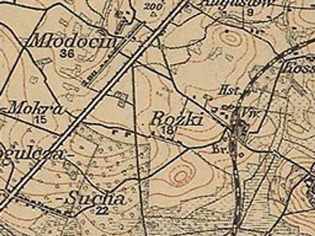 The image shows an old topographic map of the city of Bucharest, Romania. It is a top view of the...