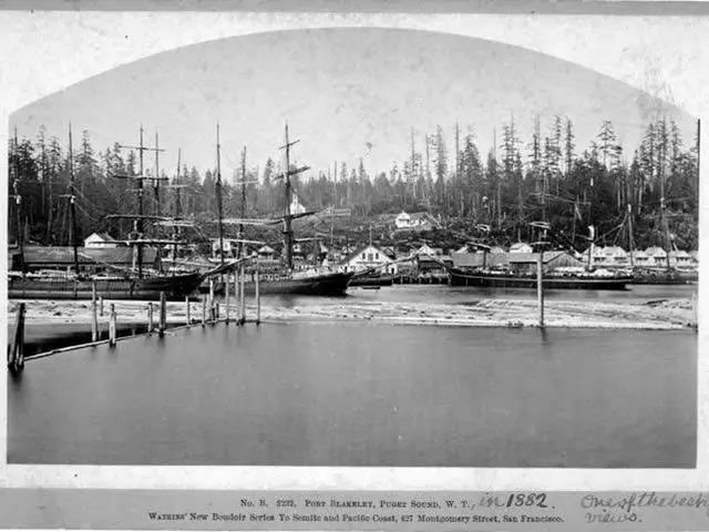 The image shows a black and white photo of boats docked in a harbor, with a bridge on the left side...