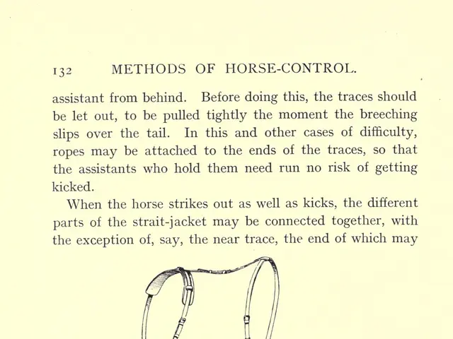 The image shows a page from a book with a drawing of a horse's bridle, along with text describing...