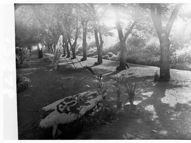 The image shows a black and white photo of a park with trees, plants, grass, and a bench. There is...