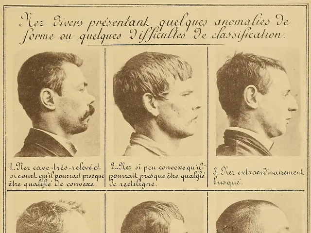 The image shows an old book with a variety of men's faces, each with a different hairstyle. The...